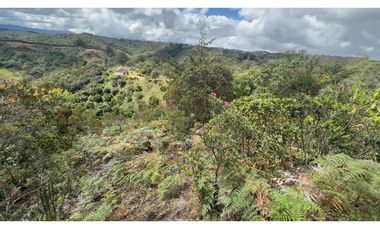 CASA FINCA EN VENTA SAN VICENTE