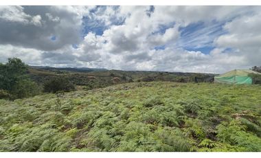 CASA FINCA EN VENTA SAN VICENTE