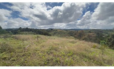 CASA FINCA EN VENTA SAN VICENTE