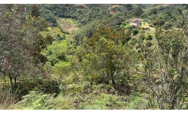 CASA FINCA EN VENTA SAN VICENTE