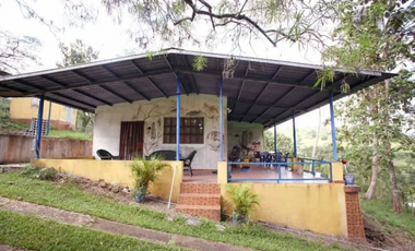 CHILIBRE / FINCA GANADERA /  51 HECTAREAS