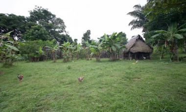 CHILIBRE / FINCA GANADERA /  51 HECTAREAS