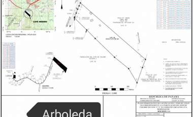 CHILIBRE / FINCA GANADERA /  51 HECTAREAS