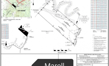 CHILIBRE / FINCA GANADERA /  51 HECTAREAS