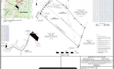 CHILIBRE / FINCA GANADERA /  51 HECTAREAS