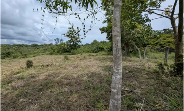 GANGA / RIO HATO / TERRENO / 3400M / PUNTO ALTO / PLAYA