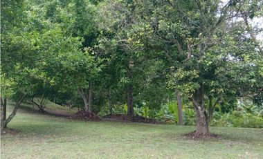 FINCA / SAN CARLOS / PLAYA GRANDE / 17000M / CASA 2 PISO / PISCINA /JC