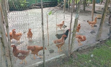 FINCA / SAN CARLOS / PLAYA GRANDE / 17000M / CASA 2 PISO / PISCINA /JC