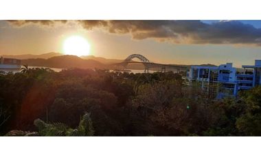 ALQUILO PH AMADOR HILL LINEA BLANCA