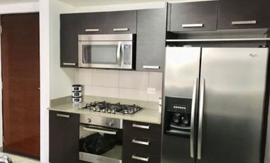 ALQUILO PH MOSAIC, PANAM PACFICO, AMOBLADO