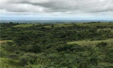 VENTA TERRENO VALLE DE ANTÓN,  VIA PRINCIPAL