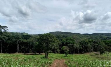 VENTA TERRENO CHORRERA - SANTA RITA