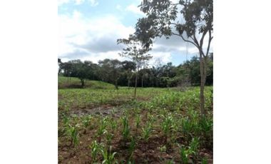 VENTA TERRENO CHORRERA - SANTA RITA