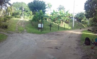 VENTA FINCA SAN CARLOS