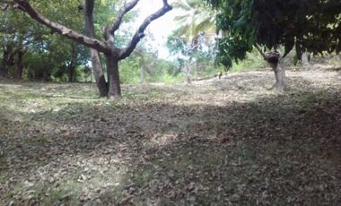VENTA FINCA SAN CARLOS