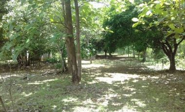 VENTA FINCA SAN CARLOS