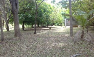 VENTA FINCA SAN CARLOS