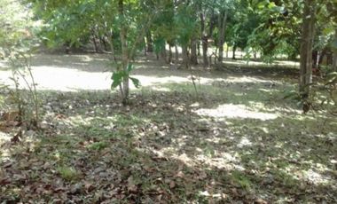 VENTA FINCA SAN CARLOS