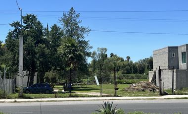 Terreno en Renta en San Antonio