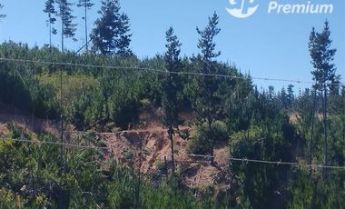 Parcela en Venta en Paredones