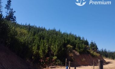 Parcela en Venta en Paredones