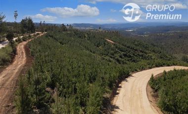 Parcela en Venta en Paredones