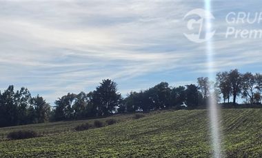 Agrícola en Venta en estancia san bernardo