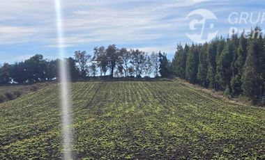 Agrícola en Venta en estancia san bernardo