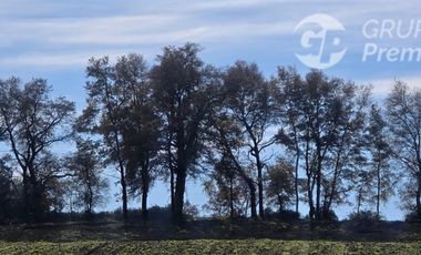 Agrícola en Venta en estancia san bernardo
