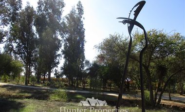 Parcela en Venta en Valle de Los Artistas, Ránguil Bajo