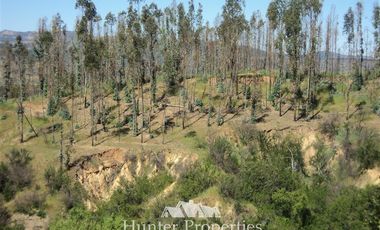Parcela en Venta en Valle de Los Artistas, Ránguil Bajo