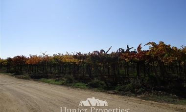 Parcela en Venta en Valle de Los Artistas, Ránguil Bajo