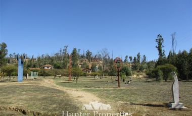 Parcela en Venta en Valle de Los Artistas, Ránguil Bajo