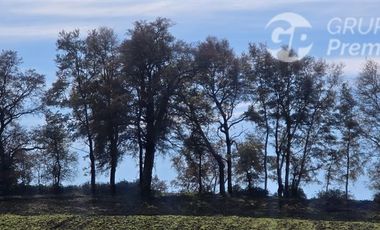 Parcela en Venta en estancia san bernardo