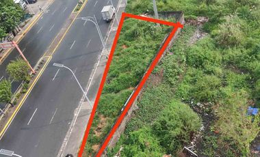 Available Commercial Lot for Lease - Bacoor