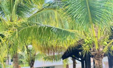 For rent Executive Studio Unit with Balcony & Ocean View, Samal Beach Resort
