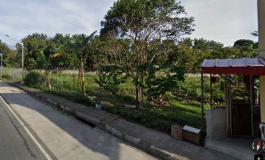 Farm for rent in Batangas, Lipa City