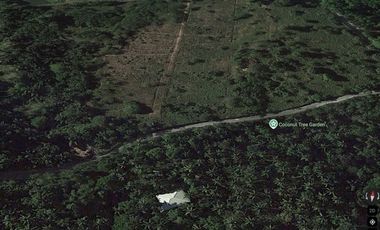 Lipa - Tipacan Batangas  Prime Land