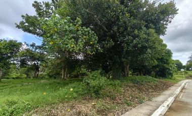 2.4 hectares commercial lot for sale in Tagaytay City Bypass Road