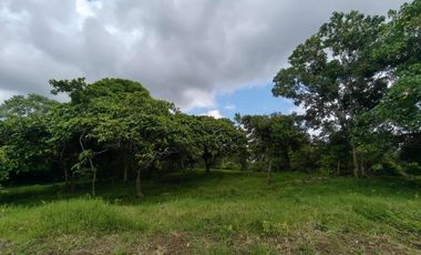 2.4 hectares commercial lot for sale in Tagaytay City Bypass Road