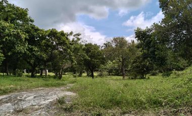 2.4 hectares commercial lot for sale in Tagaytay City Bypass Road