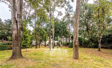 Casa en Venta en Lomas Hipódromo Naucálpan de Juarez