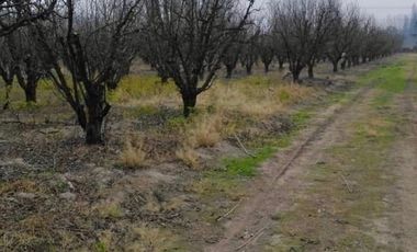 Oportunidad de Inversión Inmobiliaria de 5 hectáreas cercana a Calera de Tango