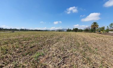 Excelente terreno ubicado en Melipilla, con gran conectividad.