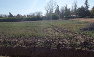 Ultimos  Terrenos El Oliveto excelente ubicación