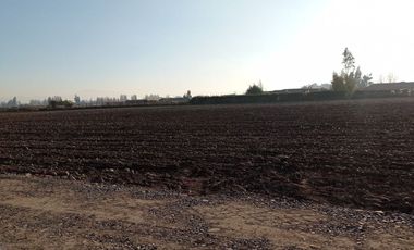 Ultimos  Terrenos El Oliveto excelente ubicación