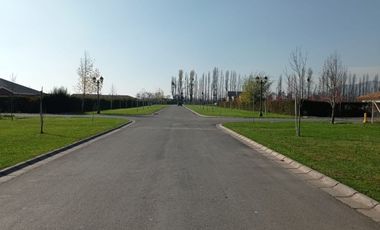Parcelas Talagante 5.000 mtrs2 Calera de tango