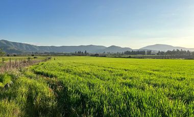 Excelente ubicación terreno agrícola Melipilla