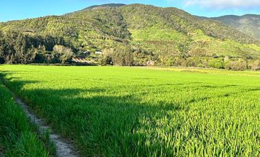 Excelente ubicación terreno agrícola Melipilla