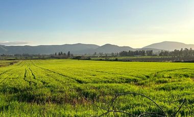 Excelente ubicación terreno agrícola Melipilla